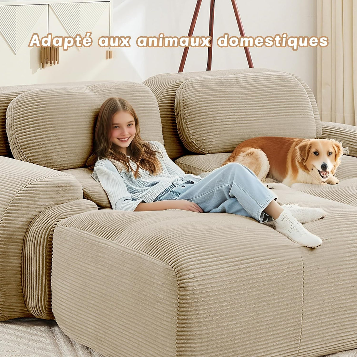 Modular Elegance Sofa Collection